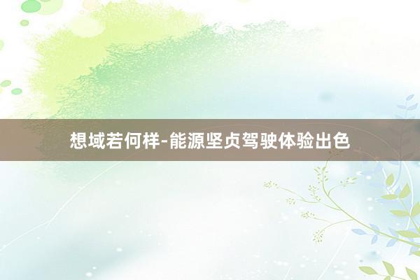 想域若何样-能源坚贞驾驶体验出色